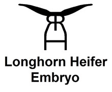 RRH LONGHORN EMBRYO